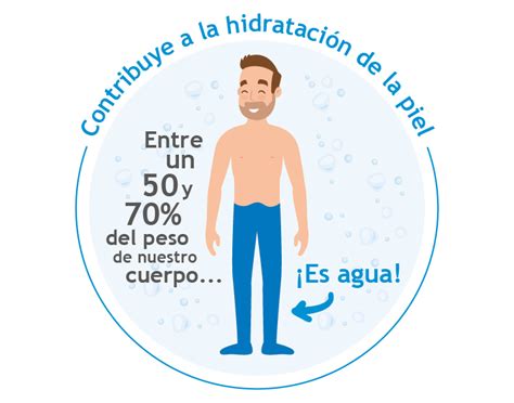 Funciones Del Agua Slide Set