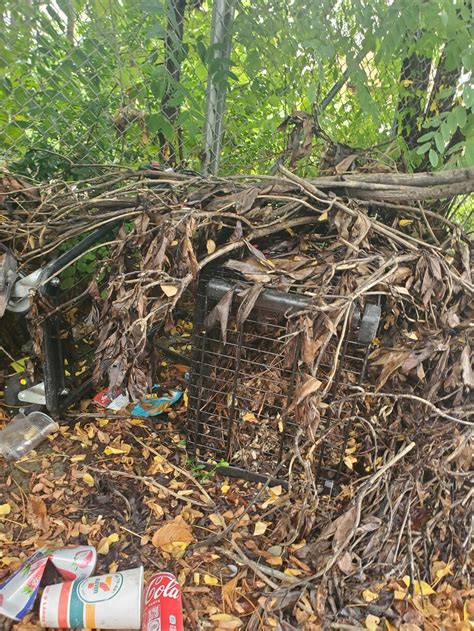 Probing The Mystery Of The Missing D C Shopping Carts The Washington