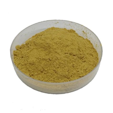 Coleus Forskohlii Dry Extract Powder Grade Standard Herbal Packaging