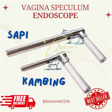 Jual Vagina Scope Speculum Sapi Kambing Domba Alat Inseminasi Buatan Ib Kambing Domba