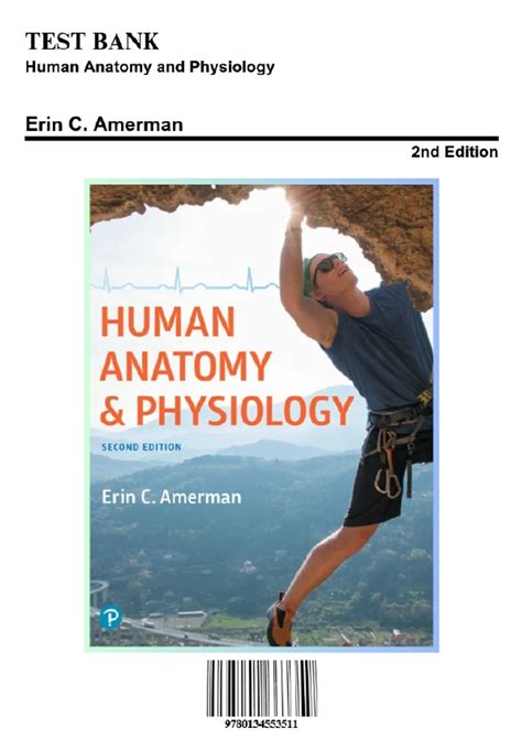 Human Anatomy And Physiology Amerman