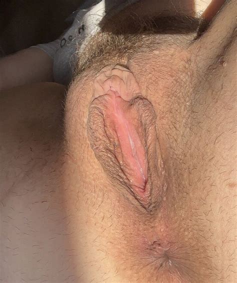 Gorgeous Pussies Porn Pic