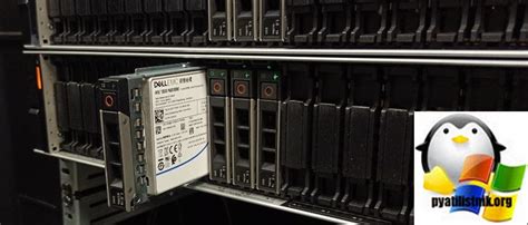 Как вставить ssd в серверные салазки