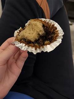 Kemonparty Disaster It All Went Wrong In A Matter Of Seconds