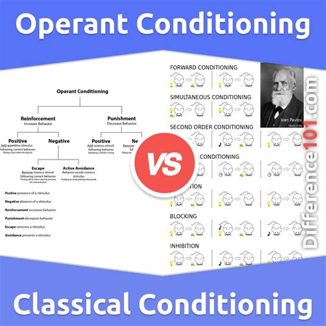 Classical Conditioning Vs Operant Conditioning Worksheet Cla