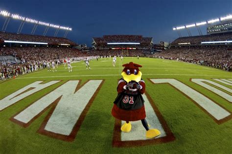 Williams-Brice Stadium