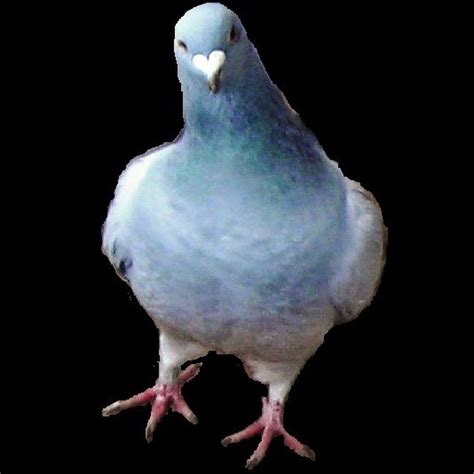 AMLnZu8kL3jaiOGWDLC2nyZIDGcNRl2PPldosRkZXArd=s900-c-k-c0x00ffffff-no-rj