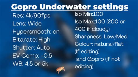 GoPro Underwater Filming Tips Ryuta Ogawa