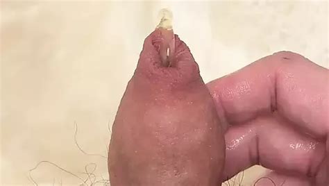 Very Hairy Uncut Dick Pissing With A Full Bladder American Gay Amateur Porn By Faphouse Xhamster