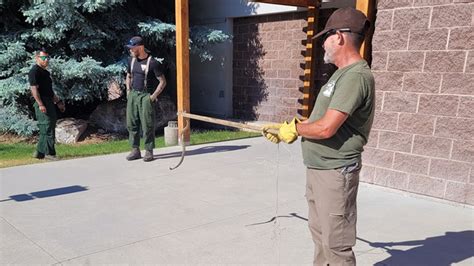 Tis' the season for Utah rattlesnakes: most common, deadliest, all