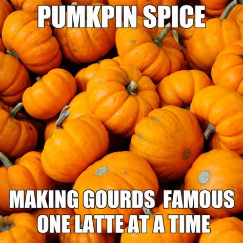 enjoy fall    funny pumpkin spice memes