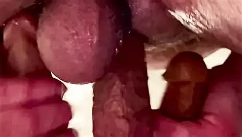 Stout Bear Exploring The Other Side Of His Sexuality In The Shower With His Wife S Toys Gay