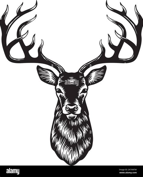 Deer Head Silhouette Black And White Vector Illustration Stock Vector