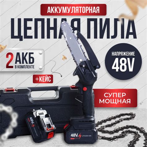 Аккумуляторная пила цепная в кейсе - купить с доставкой по выгодным ...