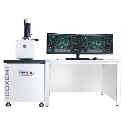 Scanning Electron Microscopy – SEM | Gravimeta