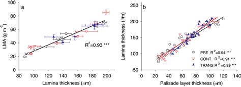 Linear Relationships Of Leaf Mass Per Area Lma Vs Lamina Thickness