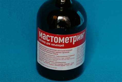 Мастометрин для собак: инструкция по применению и отзывы о препарате