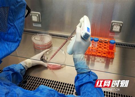 中国科学家率先破解载药囊泡治疗恶性胸腔积液作用机制“谜题”新闻关注健康频道