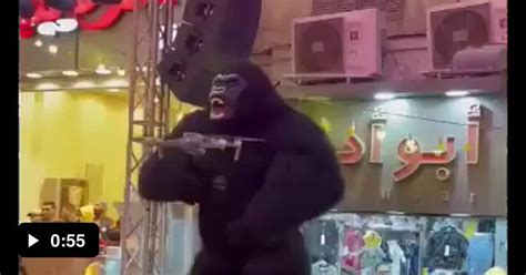 Stupid Ass Monkeys Dancing In Egypt 9GAG