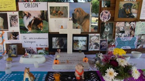 Habrá un cementerio para mascotas en la CDMX Esto se sabe La Silla Rota