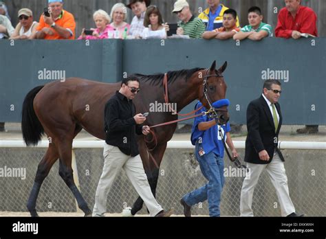 Hot Springs Arkansas USA Th Apr American Pharoah Before The