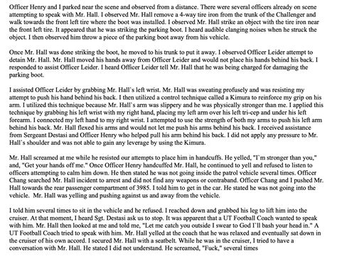 Is This The End? The Megan Hall Police Timeline's Conclusion Image 19
