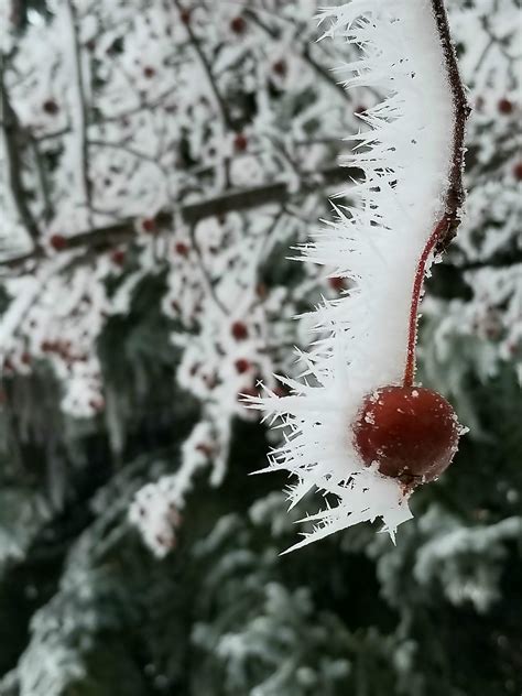 70 Best Regina Saskatchewan Images On Pholder Pics Regina And Earth Porn