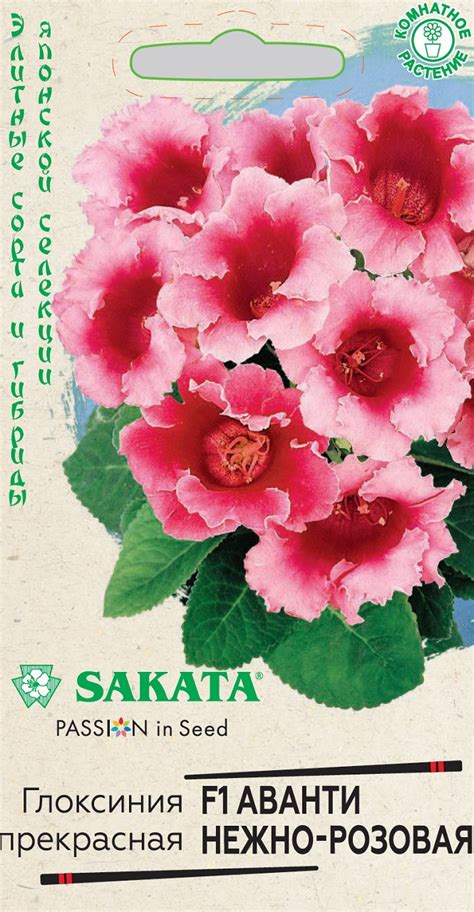 Семена Глоксиния Аванти нежно-розовая F1, 4шт, Гавриш, Элитные сорта и ...