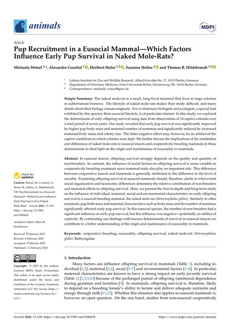 PDF Pup Recruitment In A Eusocial Mammal Which Factors Influence Early Pup Survival In Naked