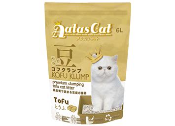 tofu - Aatas Cat
