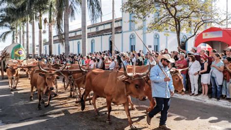 Romaria De Trindade Começou Com Um Trabalhador Do Campo Conheça A História