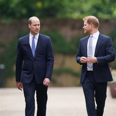 Prince William and Prince Harry Rift: Happy Families Are Not a Game