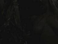 Chelsie Hartness Nude Pics Page 1