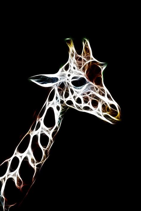 Giraffe Art Photograph By Steve Mckinzie Fine Art America