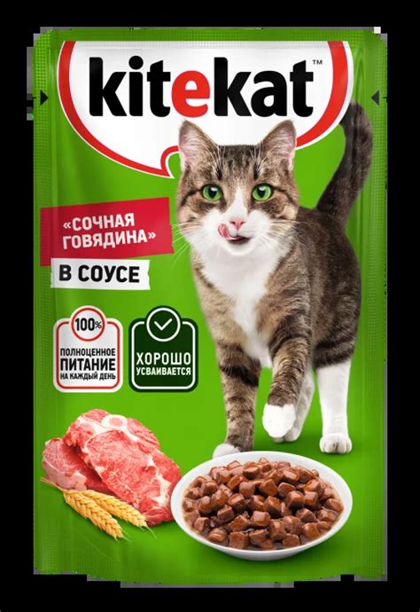 Влажный корм для кошек KITEKAT с говядиной в соусе — купить у партнеров