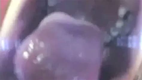 Free Hot MILF Blowjob Porn Videos XHamster