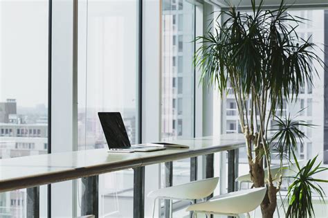 Struggling to Achieve Sustainable Growth? Revive Ur Biz Has the