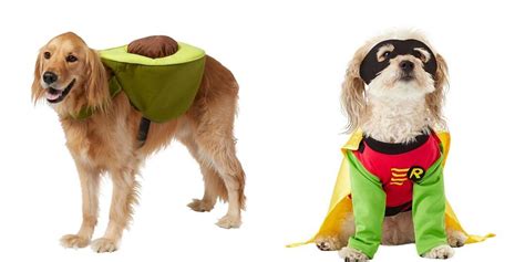 Our Favorite Halloween Pet Costumes From Chewy | Nurtured Paws