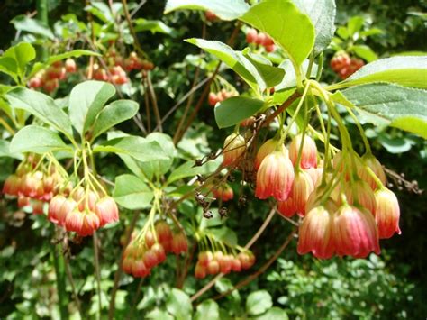 Was He Naked Adachi Lab