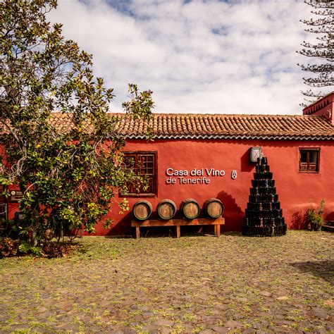 Raise a Glass to Adventure: The Ultimate Tenerife Wine Tasting Journey