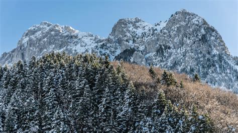 Votage Images – Browse 35 Stock Photos, Vectors, and Video | Adobe Stock