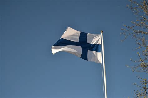 Finland Finnish Flag Spring - Free photo on Pixabay - Pixabay