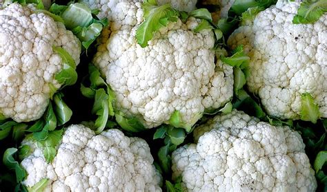 Cauliflower Background Hd Wallpaper Pxfuel