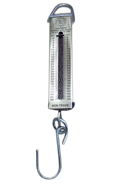 Fish Stainless Steel Handy Suspension Weighing Pocket Balance Capacity