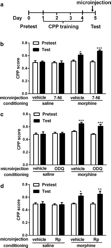 Effects Of Pretest Microinjections Of 7 NI ODQ Or Rp 8 Br PET CGMPS