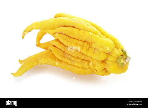 Buddhas Fingers Cut Out Stock Images Pictures Alamy