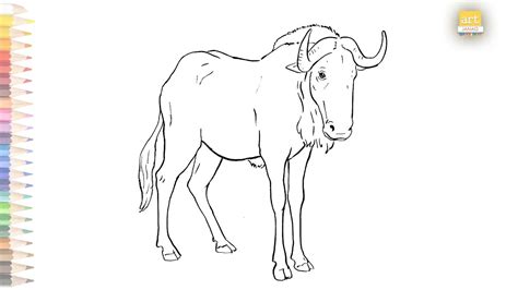 Blue Wildebeest Drawing Easy 01 How To Draw A Blue Wildebeest Drawing
