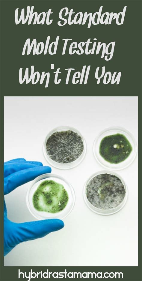 What Is An Ermi Mold Test Mold Prevention How To Stay Healthy Molding