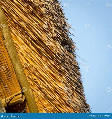 Thatched Roof Construction Details