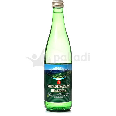 Минеральная вода Кисловодская целебная 0,5л купить за 74 руб. с ...